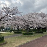 ⑦横須賀コミュニティ公園